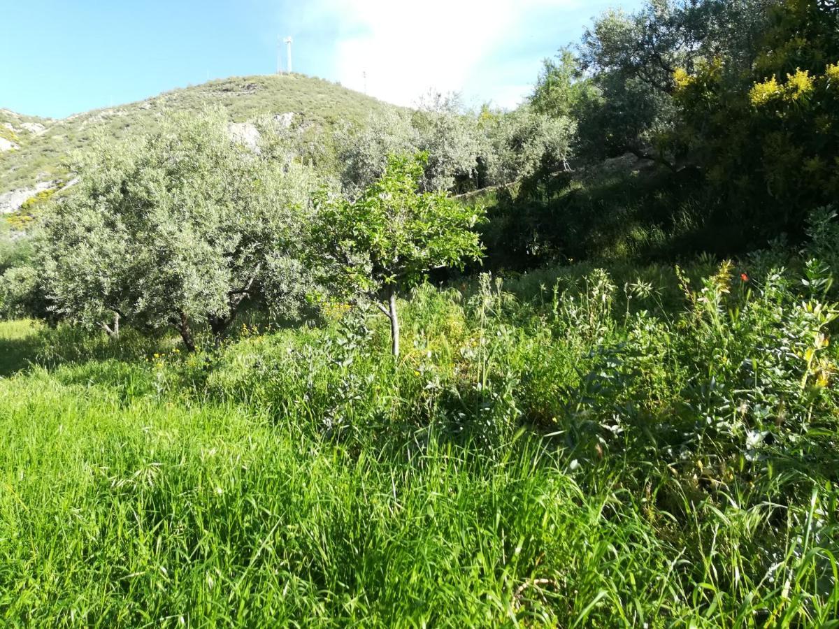 Bancal De Los Perez Carataunas Bagian luar foto