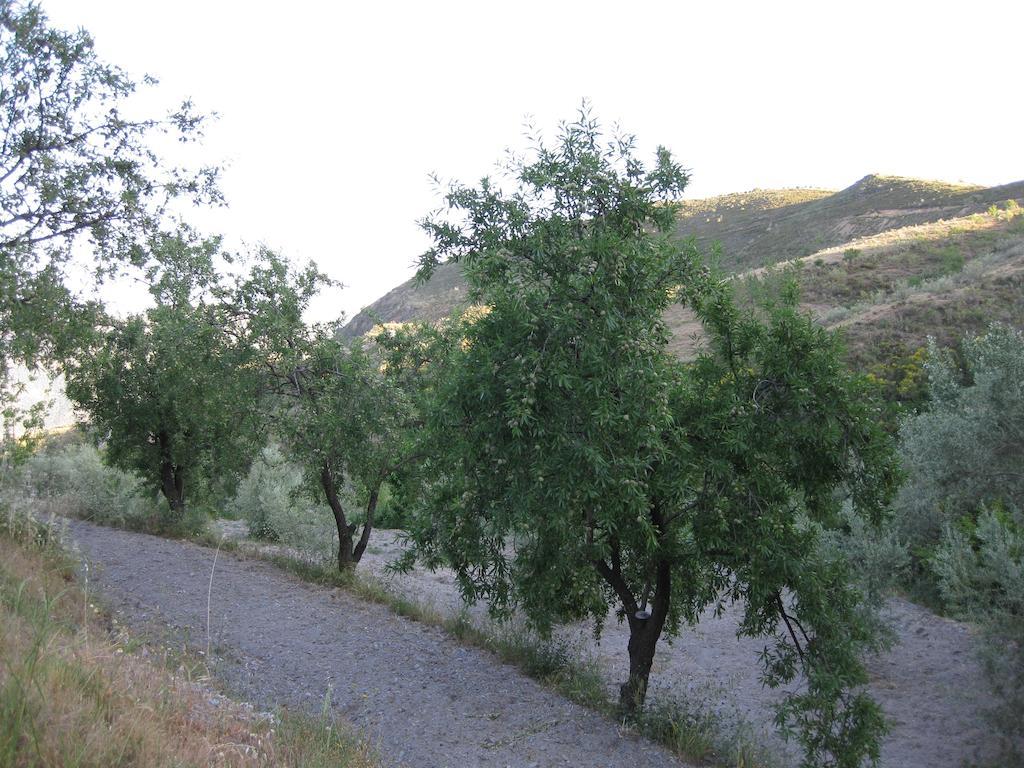 Bancal De Los Perez Carataunas Bagian luar foto