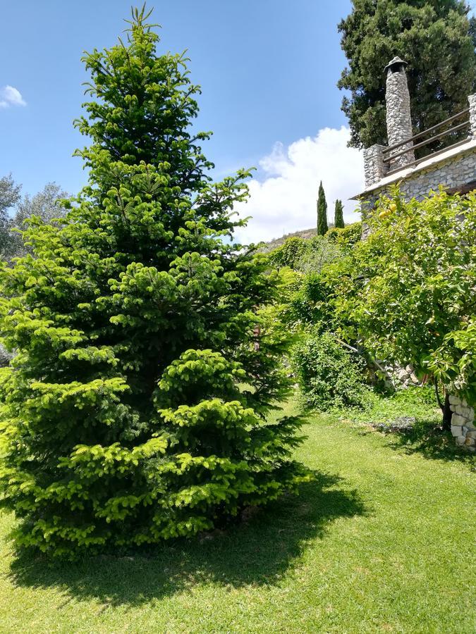 Bancal De Los Perez Carataunas Bagian luar foto