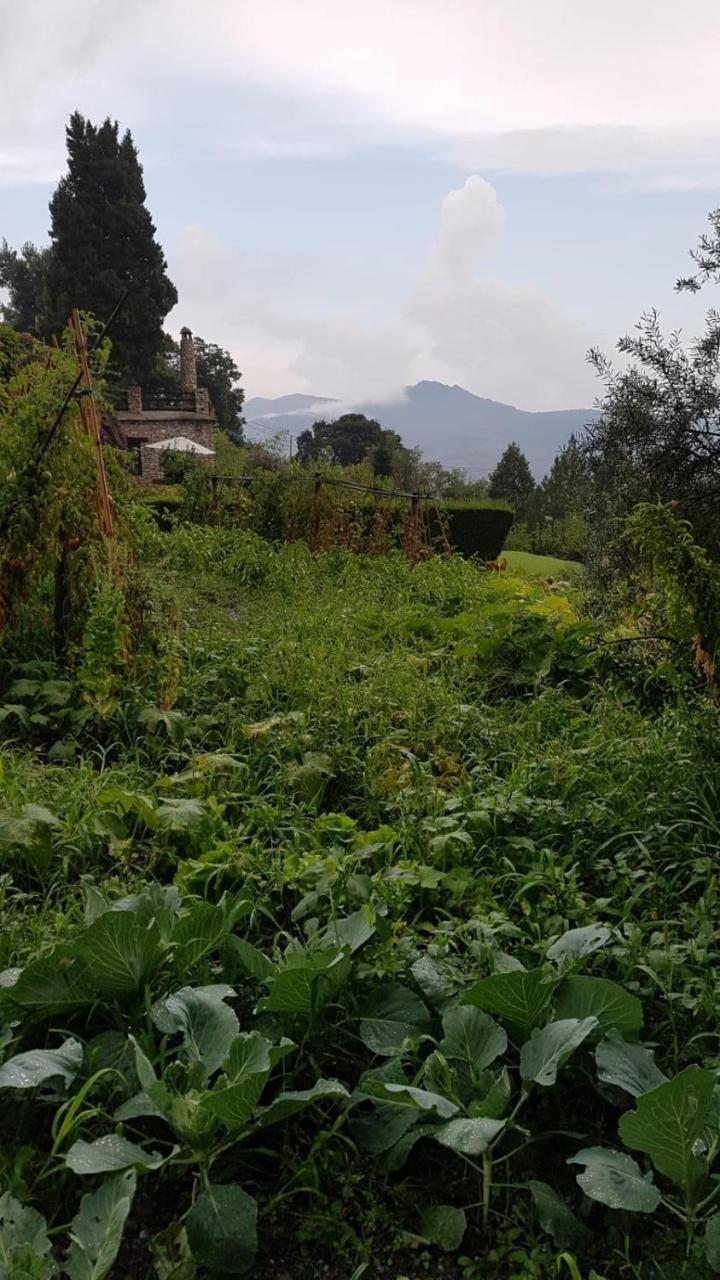 Bancal De Los Perez Carataunas Bagian luar foto
